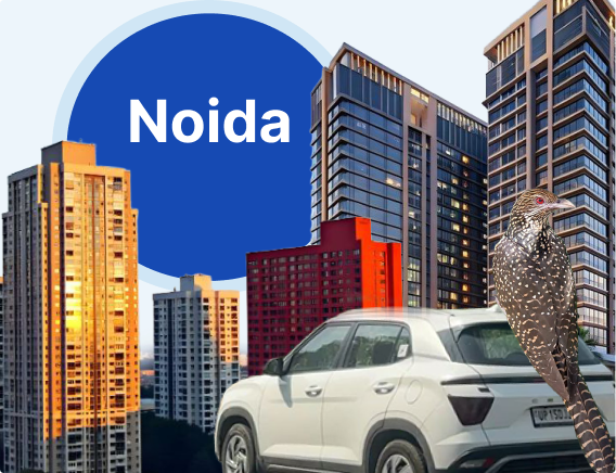 Bulk SMS Noida