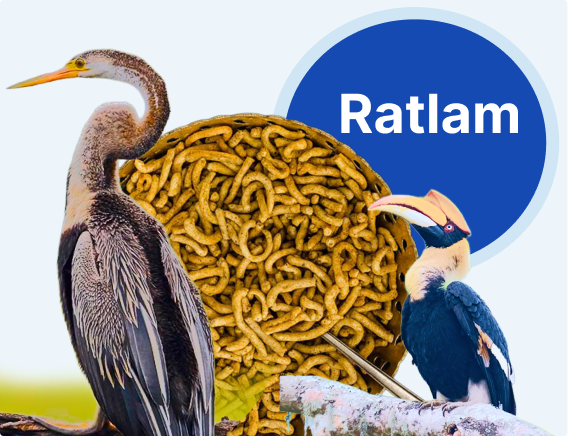 Bulk SMS Ratlam