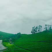 Ooty Bulk SMS