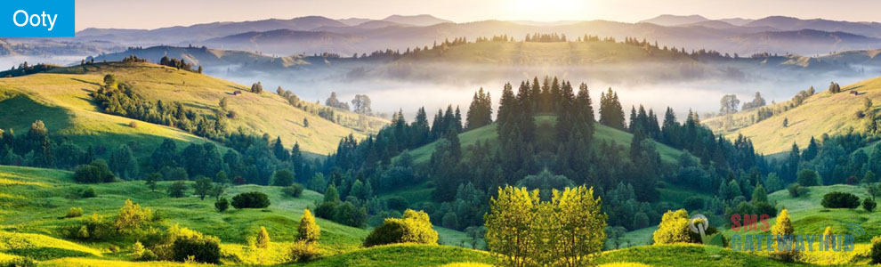bulk-sms-Ooty