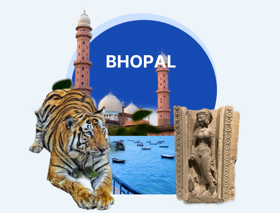 Bulk SMS Bhopal