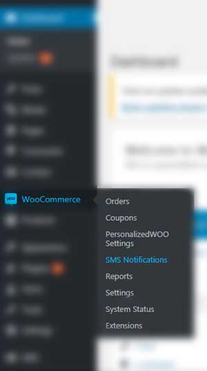 Woocommerce SMS Plugin