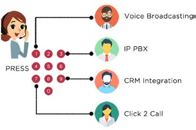 How IVR Work