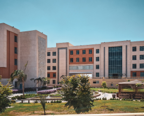 Government Institute