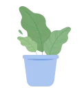 plant-pot