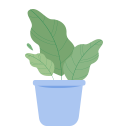 plant-pot